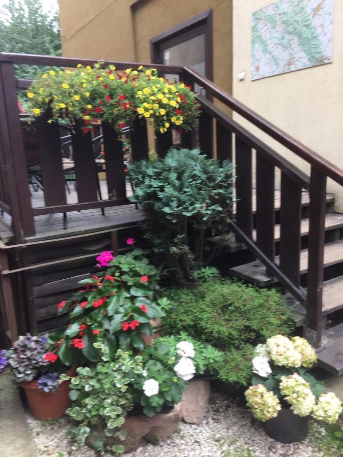 Centrum Turystyki Niekonwencjonalnej Srebrna Góra Exteriör bild